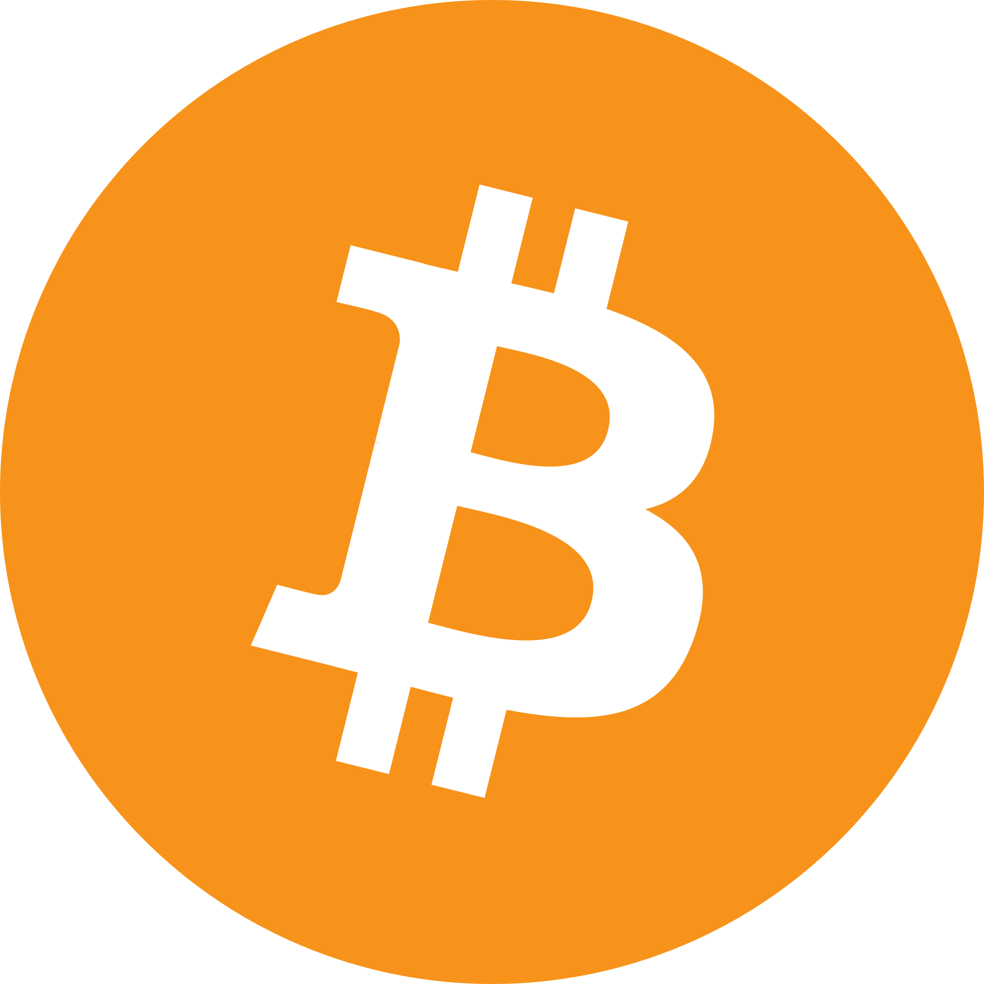 BTC Icon